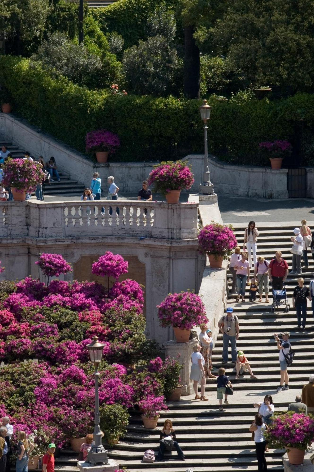 Affittacamere The At The Spanish Steps Luxury Collection - The View *